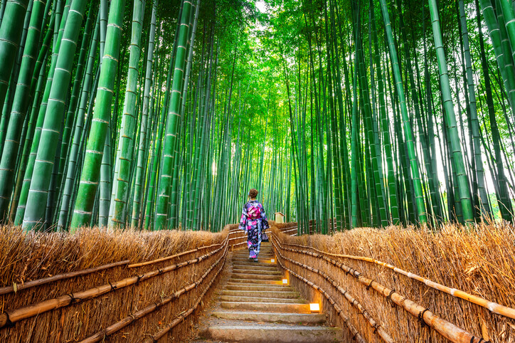 Floresta de bambu, Japão